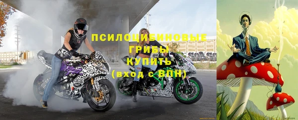 крисы Костерёво