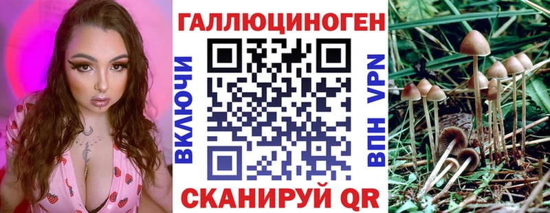 Псилоцибиновые грибы Magic Shrooms Купить закладки Боровск
